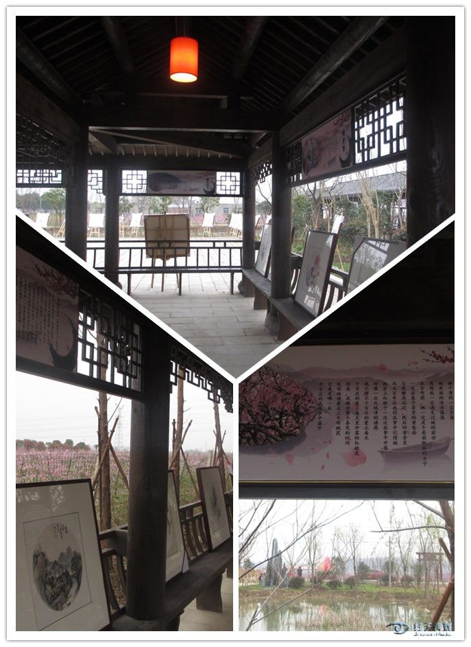 图片14.png