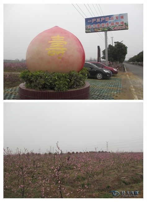 图片16.png
