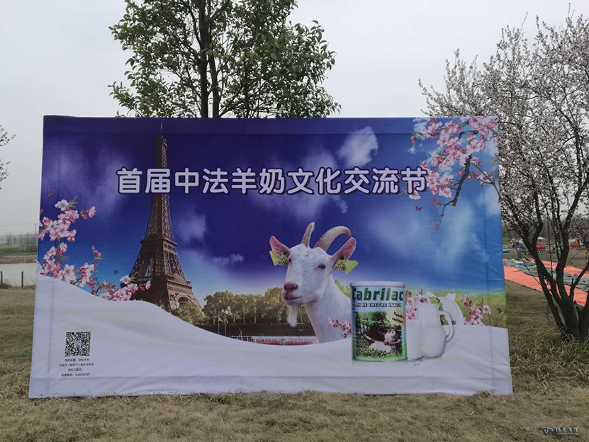 图片11.png